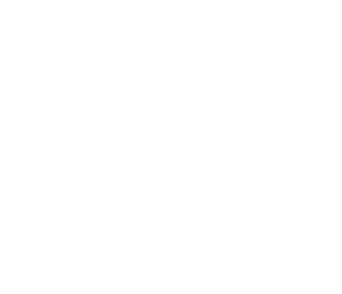 Airmiles Logo